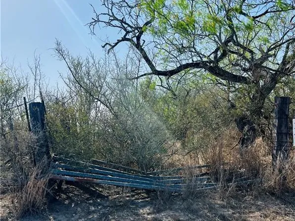 553 County Road 309, Encino, TX 78353