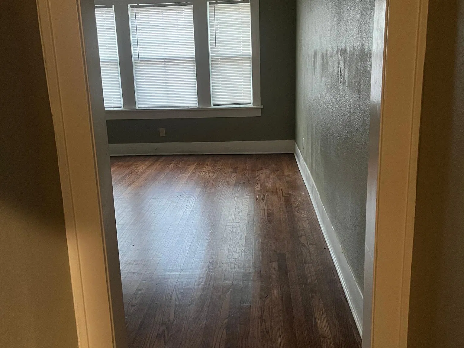 1 bed, 825 sqft, $795 — Photo 3