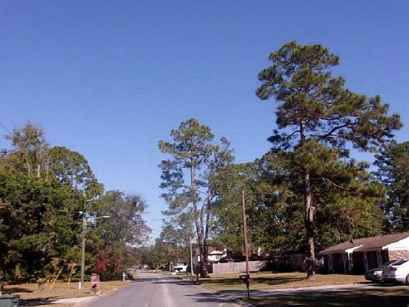 Exterior Neighborhood (street photo)