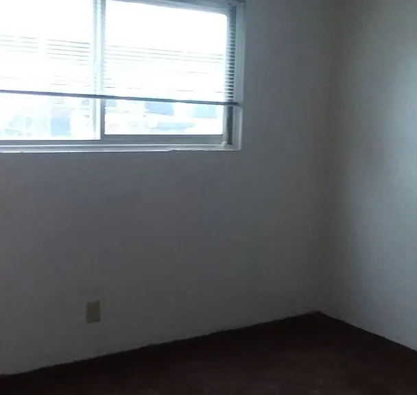 158 Jefferson St — Photo 19