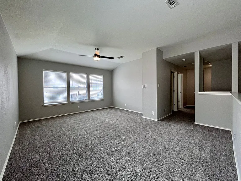 8734 Snow Goose — Photo 11