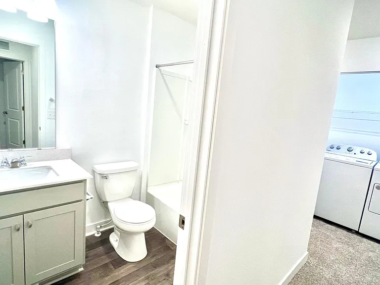 11204 Balsam Pointe Trl — Photo 95