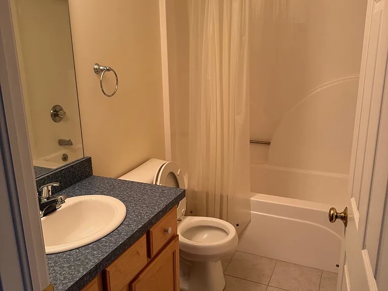 Bathroom (attached to the bedroom)