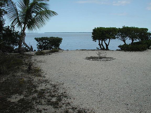 backyard ocean
