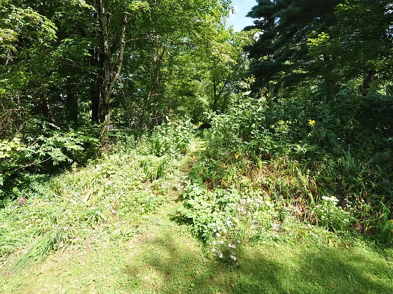293 Barnumville Rd — Photo 21