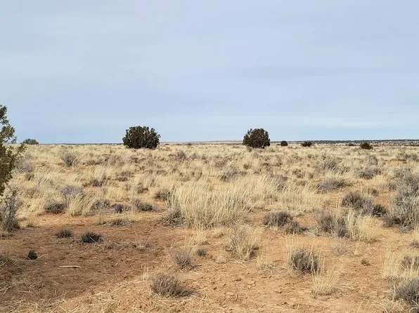 Lois Ln Lot 33S, Snowflake, AZ 85937