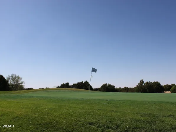 8378 Lake View Dr, Show Low, AZ 85901