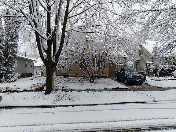 Magnolia, sugar maple- front