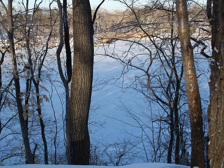 402 Forest Beach Rd — Photo 23
