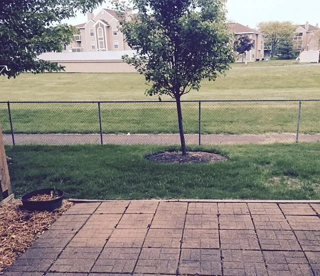 Pavered Patio