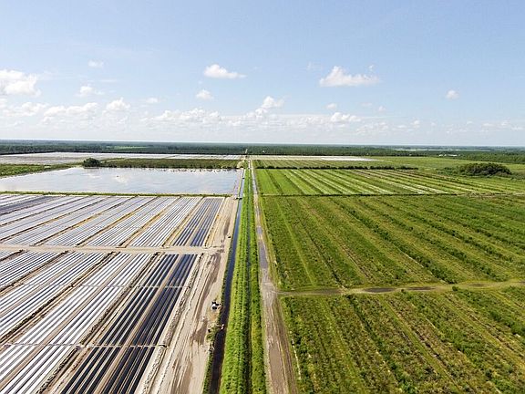 Actively being farmed