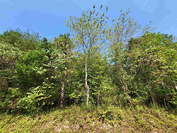 2nd image of 0 Whetstone Rd