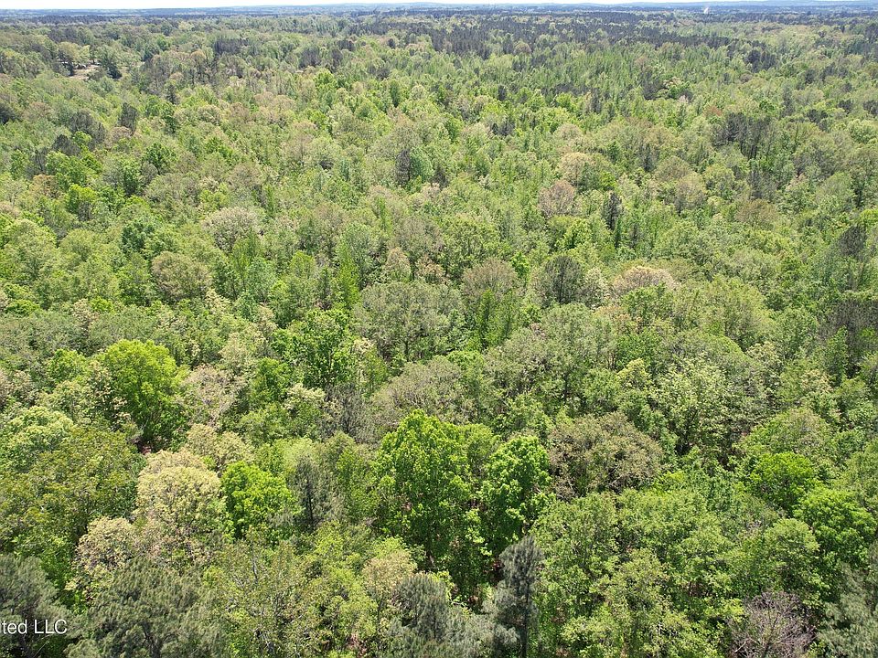 Clyde Evans Rd, Newton, MS 39345 MLS 4049243 Zillow