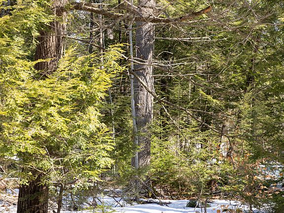 4th image of R7L14A Route 157 Route