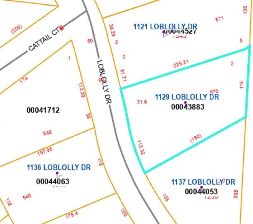 2nd image of 1129 Loblolly Drive