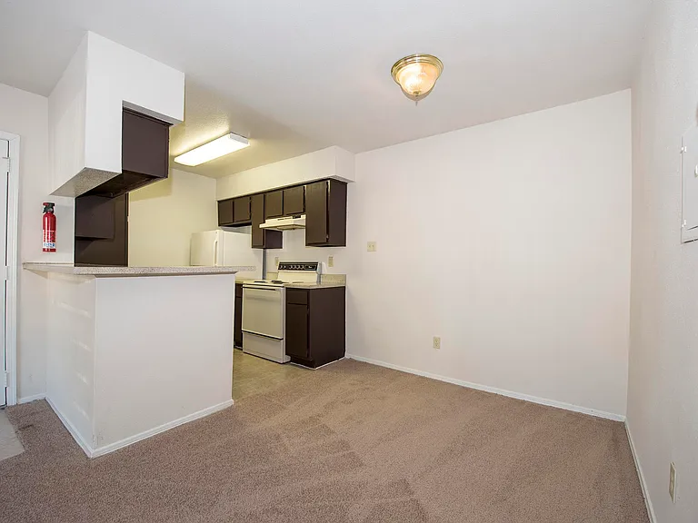 2911 Sycamore Springs Dr — Photo 37