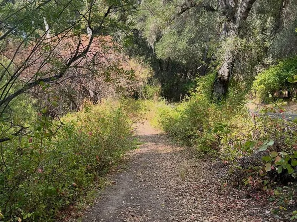 1000 Cachagua Rd, Carmel Valley, CA 93924