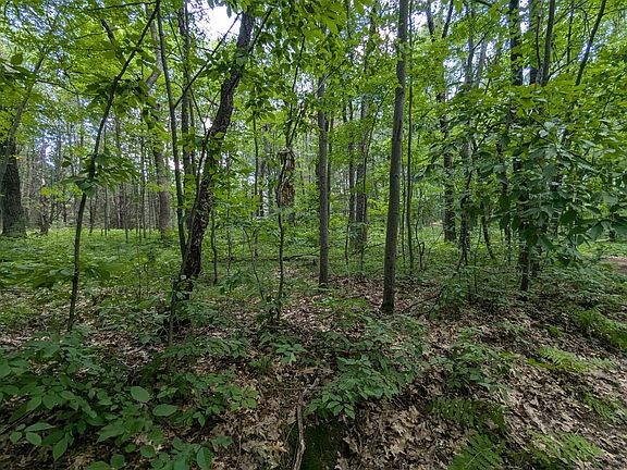4th image of LOT 5 Fosmo Dr