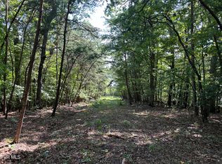 LOT 1239 Rustic Dr, White Pine, TN 37890