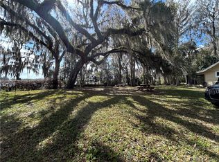 8968 E Devilsneck Rd, Floral City, FL 34436