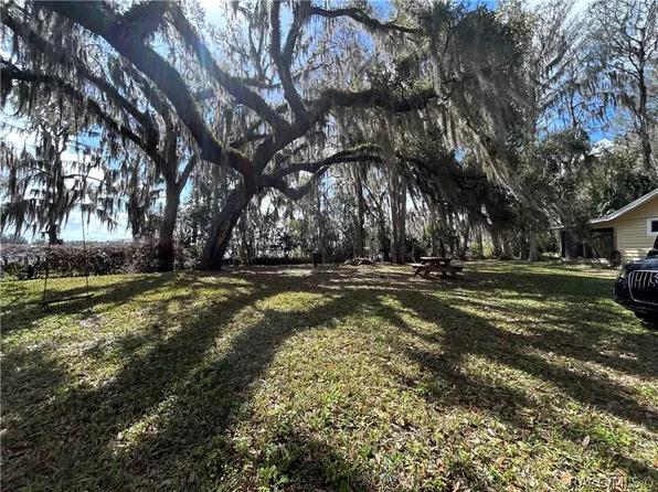 8968 E Devilsneck Rd, Floral City, FL 34436