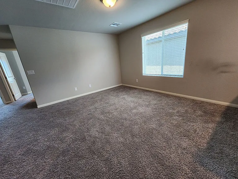 4521 Pointleaf St — Photo 23