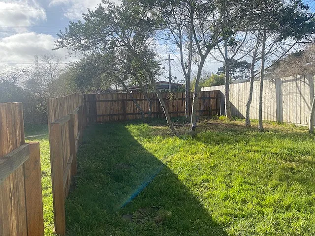3 bed, 1240 sqft, $2,200 — Photo 3
