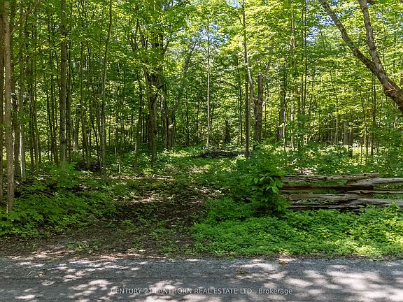 3rd image of 55 Post Rd