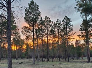 7800 Forest Service 122 Rd TRACT 9B-9, Happy Jack, AZ 86024