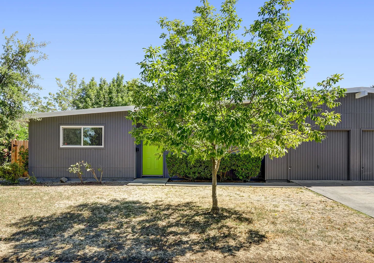 Halfplex in Central Davis — Photo 3
