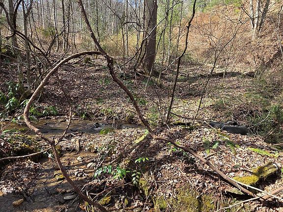 2nd image of 0 Laurel Branch Rd