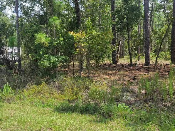 0 NW HILLSDALE AVENUE LOT 10, DUNNELLON, FL 34431