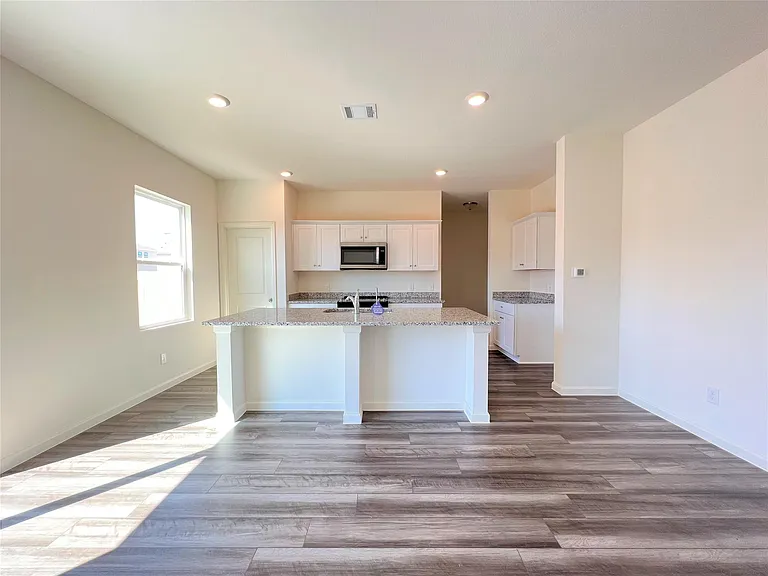 1036 Lacebark Pine Ln — Photo 7