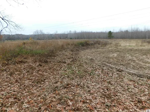 0 Lawson Johnson Ln, Benton, KY 42025