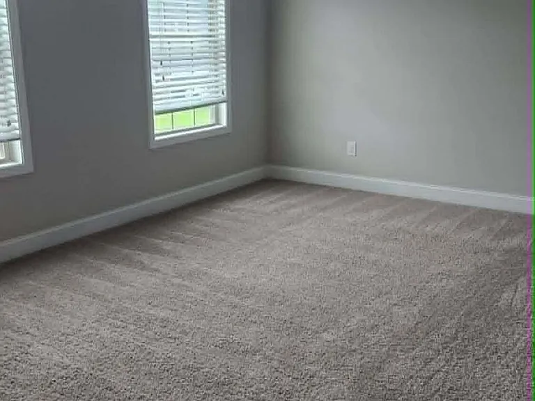 2125 Canadiangeese Dr — Photo 12