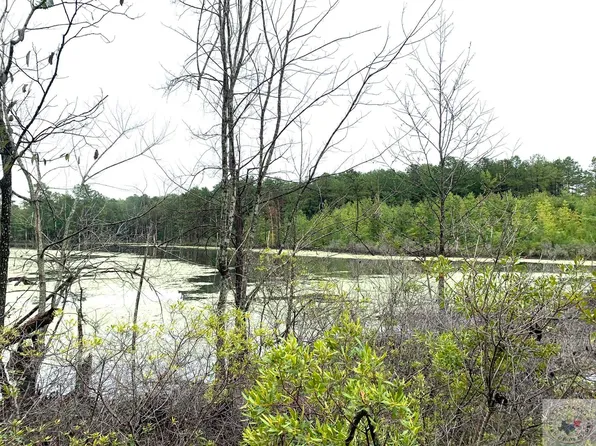 Tbd Cr 2339, Marietta, TX 75566