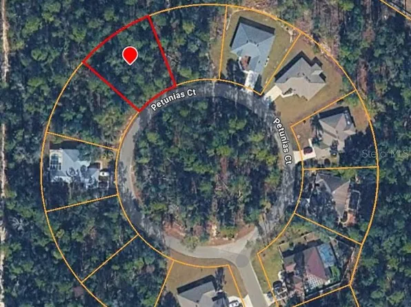 15 Petunias Ct Lot 9, Homosassa, FL 34446