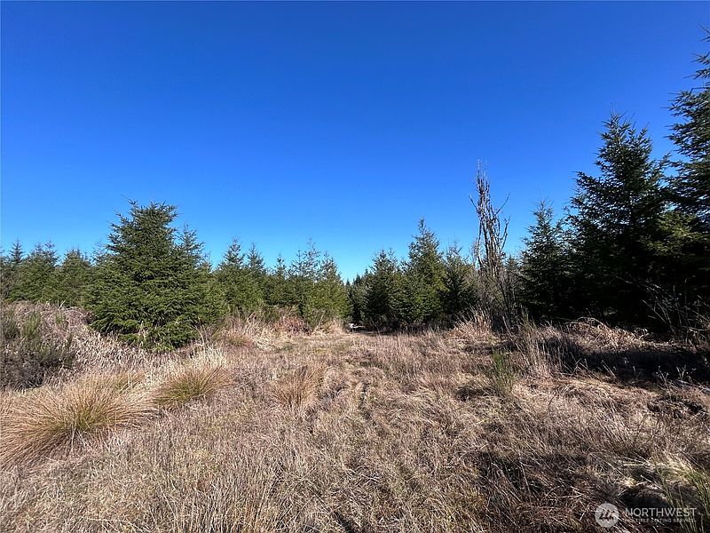 4th image of 0 NKA Salmon Creek Road