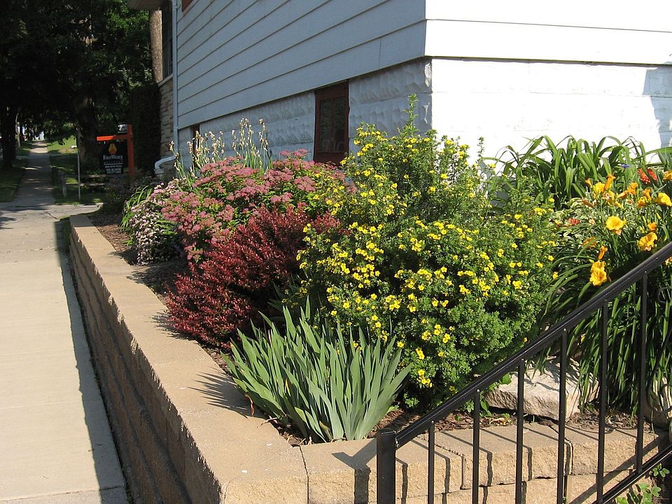 Side Landscaping