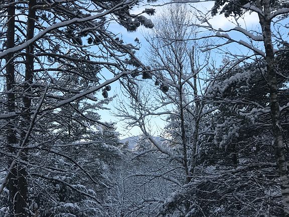 View from deck