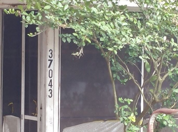 2nd image of 37043 Davis Ave