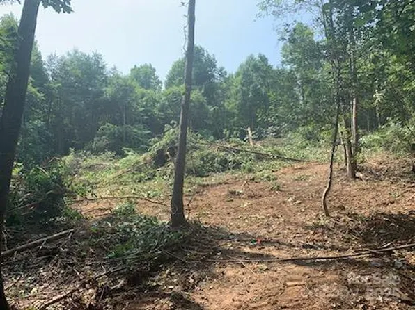 1 Old Vashti Rd, Taylorsville, NC 28681