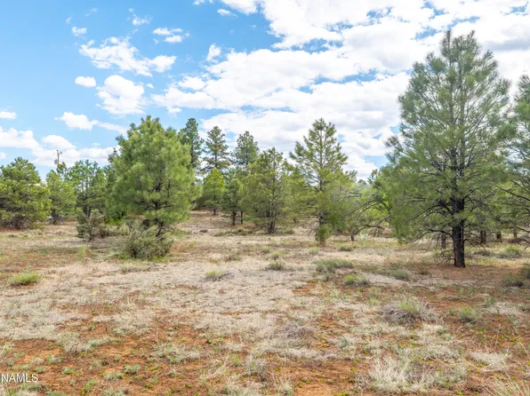 100 S Hot Rod Aly, Parks, AZ 86018