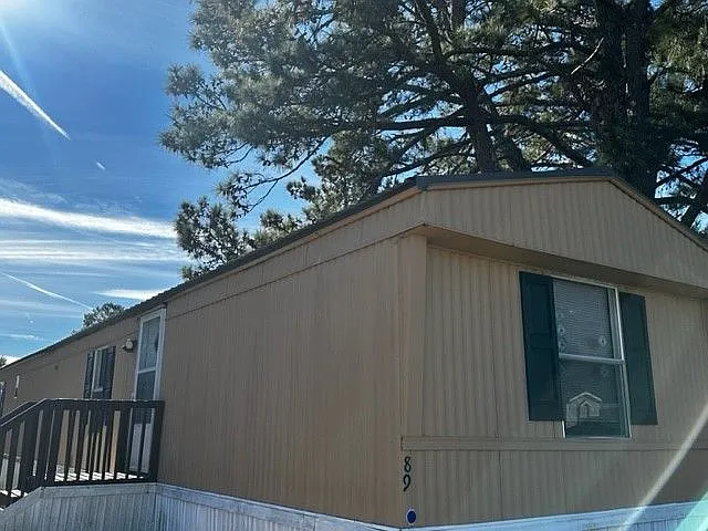 Palmetto Palms — Photo 14