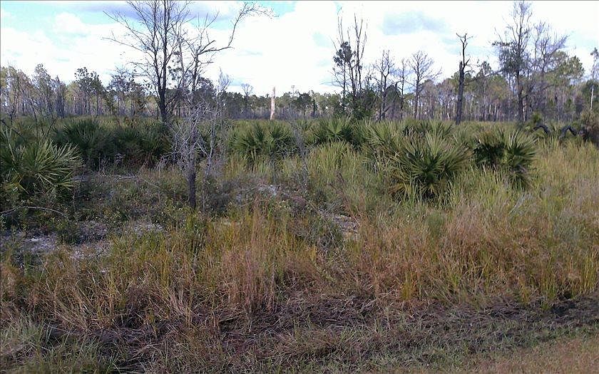 2nd image of 7822 Granada Blvd