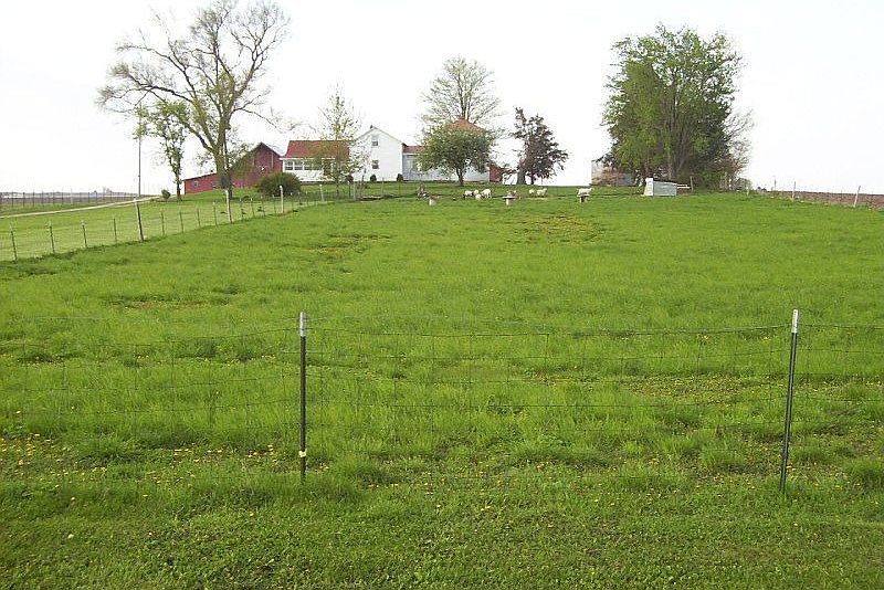 Looking towards the house from the road