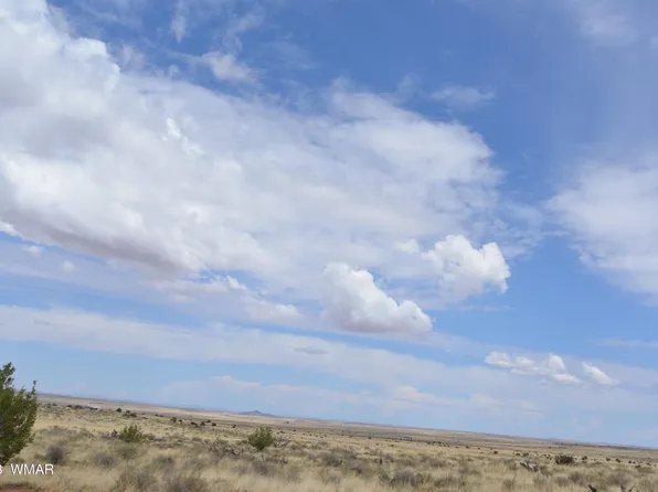 8330 Uttecht Trl, Snowflake, AZ 85937