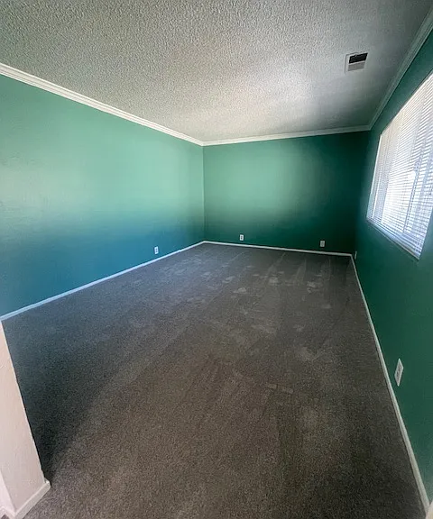 4305 Rilea Way #4 — Photo 5