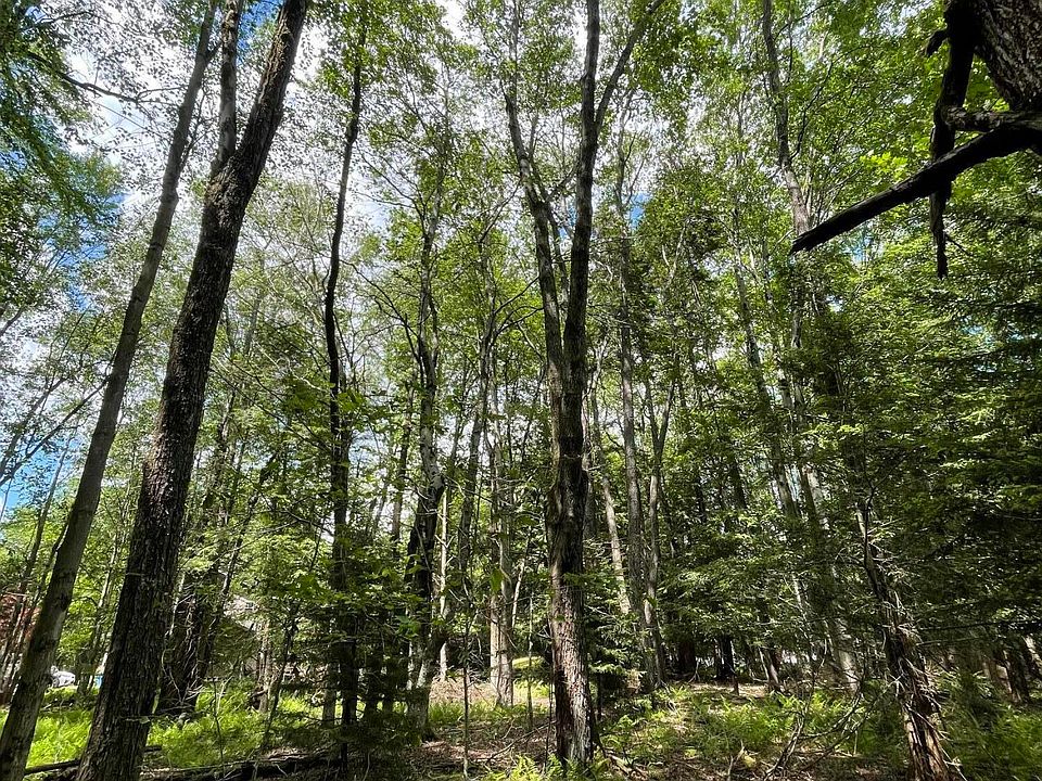 2nd image of Pine Rd #67