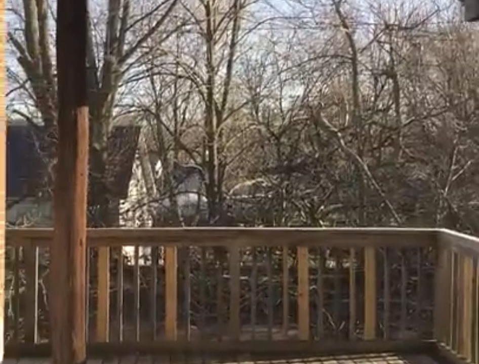2nd image of 5052 Milton St